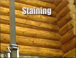 Belle Valley, Ohio Log Home Staining